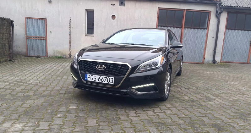 Hyundai Sonata cena 64900 przebieg: 136000, rok produkcji 2017 z Gostyń małe 379